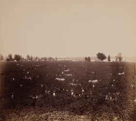 Mathews Place, Lobdel Station, Jas. S. Richardson